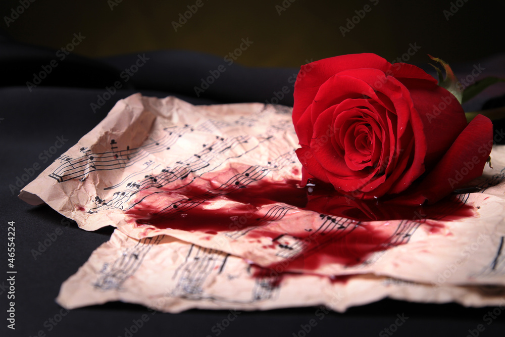 Fototapeta premium red rose,score and blood