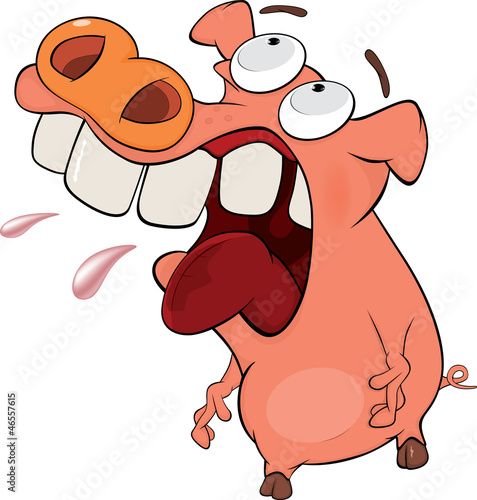 Pig. Cartoon