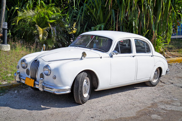 Plexiglas schilderij Cubaanse oldtimers Witte klassieke Jaguar in Havana  © Aleksandar Todorovic