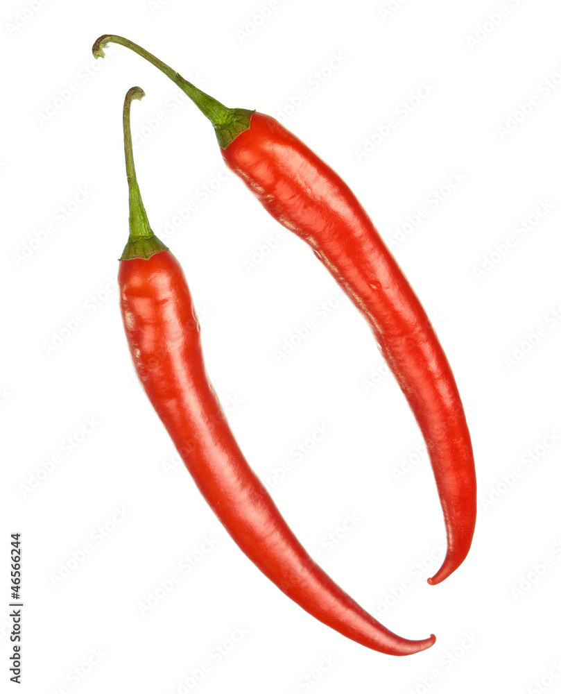 Two red hot chilly peppers isolated