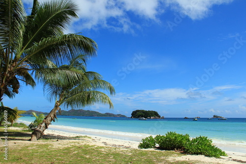 Plage de rêve aux Seychelles