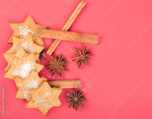 Fototapeta Naklejka Na Ścianę i Meble -  Christmas ginger cookies with spices