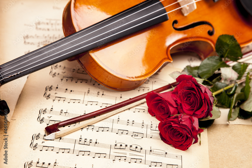 Fototapeta premium Beautiful roses and violin!