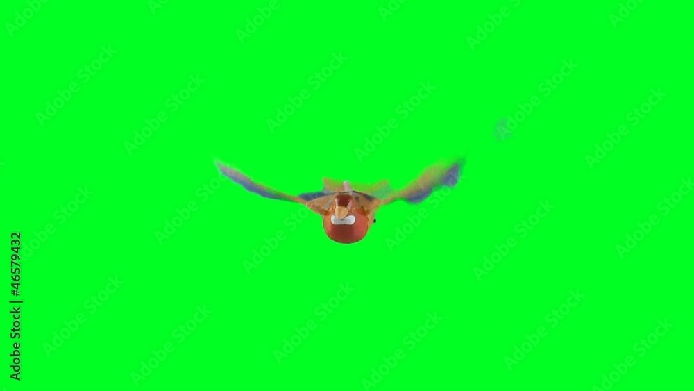 toy plastic bird with green screen toy plastic bird with green screen