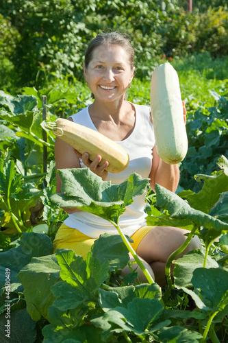 Photos woman  picking vegetable marrow