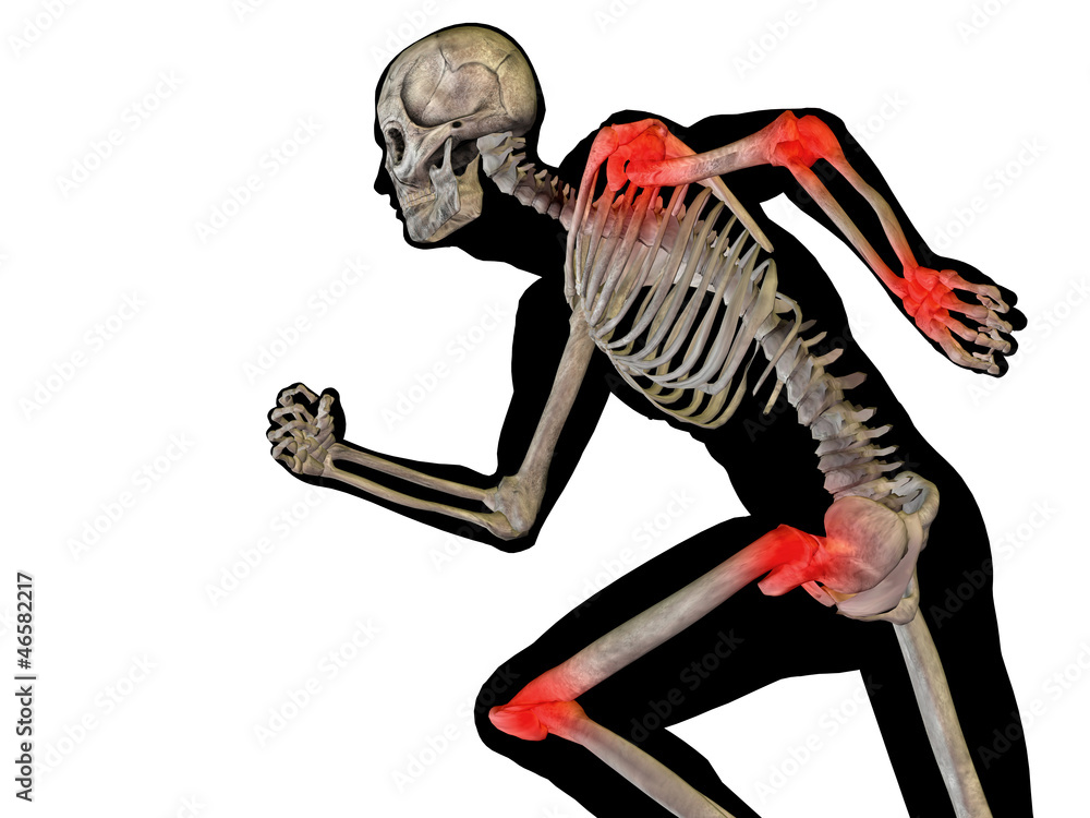 High resolution 3D human ideal for anatomy,medicine and health High resolution 3D human ideal for anatomy,medicine and health