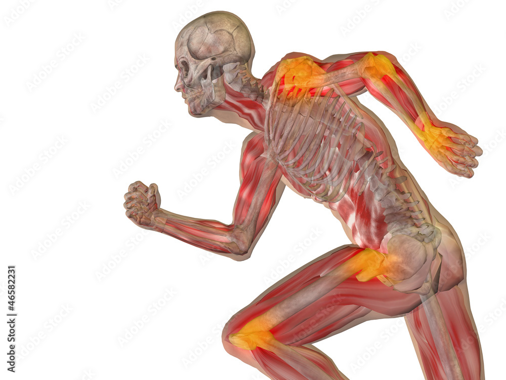 High resolution 3D human ideal for anatomy,medicine and health High resolution 3D human ideal for anatomy,medicine and health