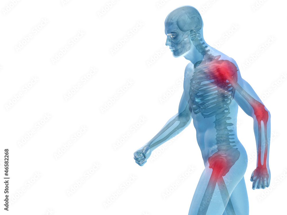 High resolution 3D human for anatomy,medicine and health High resolution 3D human for anatomy,medicine and health