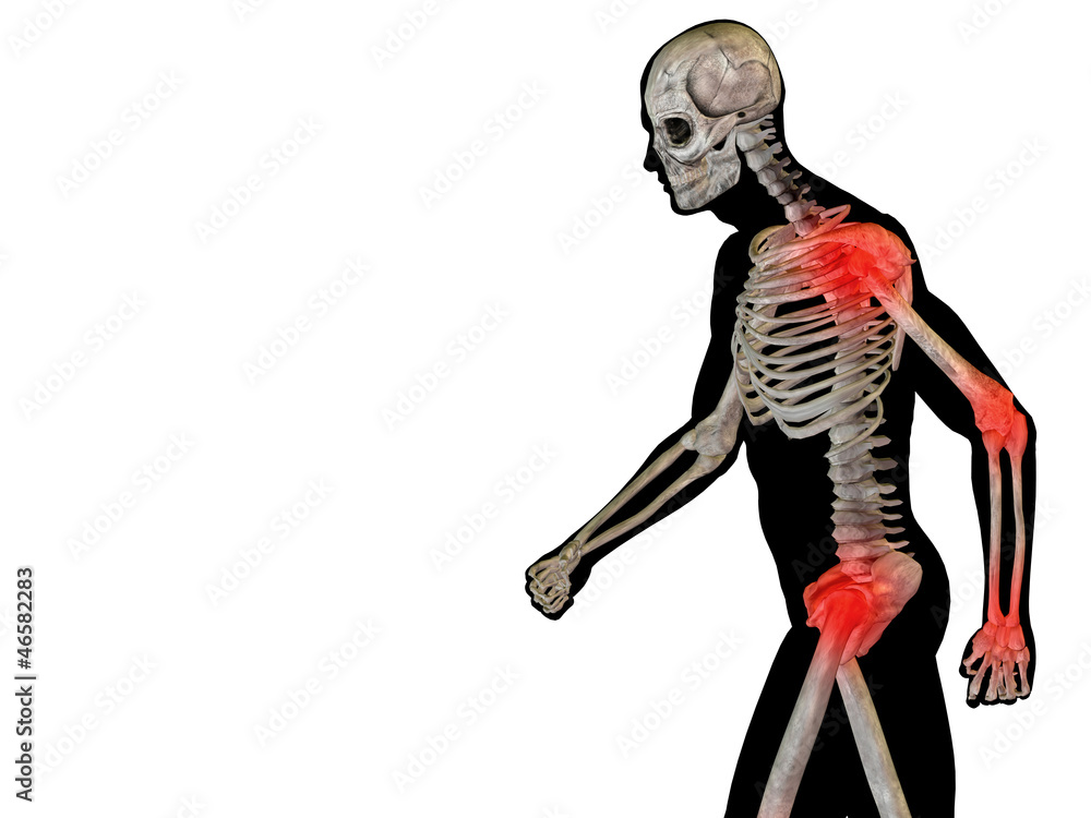 High resolution 3D human ideal for anatomy,medicine and health High resolution 3D human ideal for anatomy,medicine and health