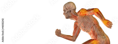High resolution 3D human ideal for anatomy,medicine and health © high_resolution
