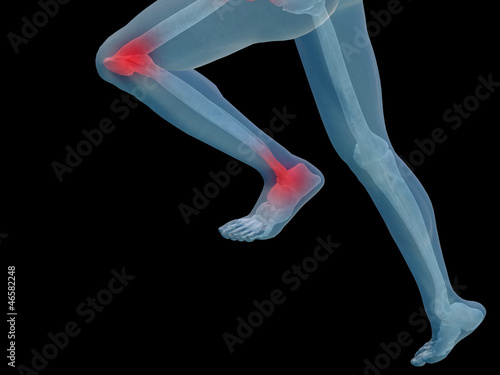 фотографія High resolution 3D human for anatomy,medicine and health
