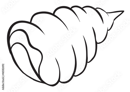 a cockleshell sketch