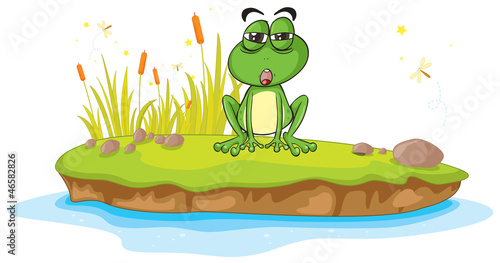 a frog and water