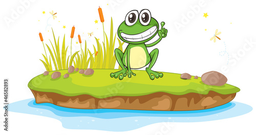 a frog and water
