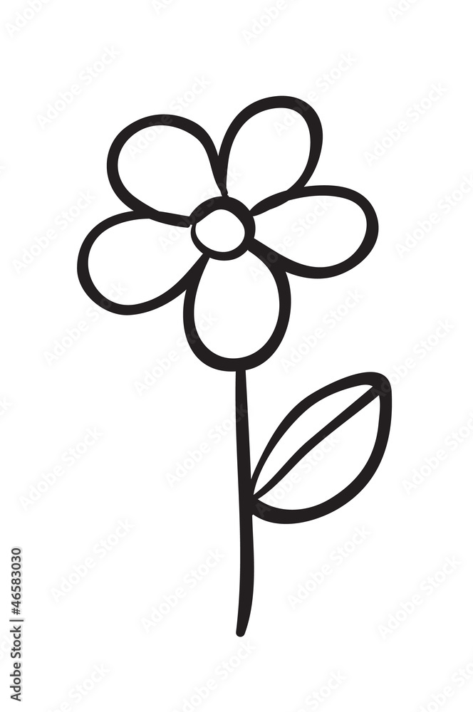 flower sketch flower sketch