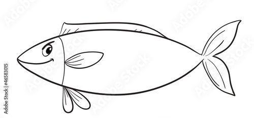 a fish