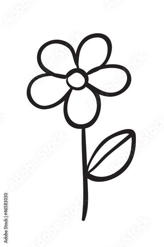 flower sketch