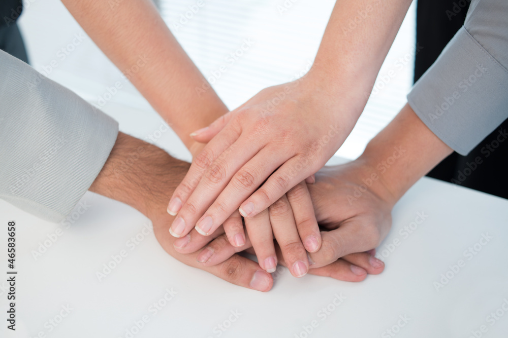 Companionship Companionship