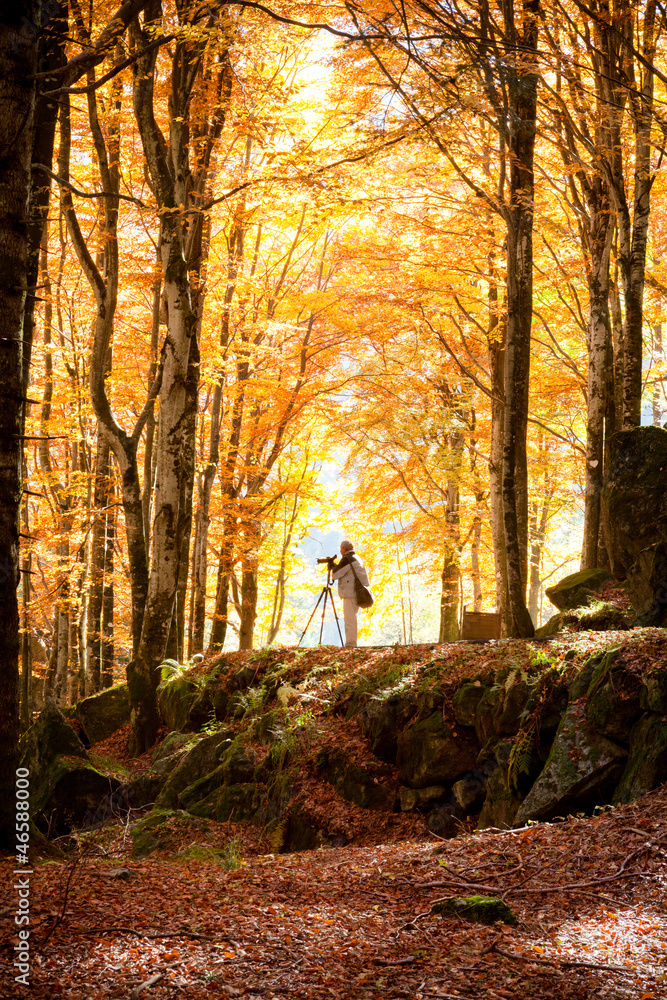 Fototapeta premium professione fotografo