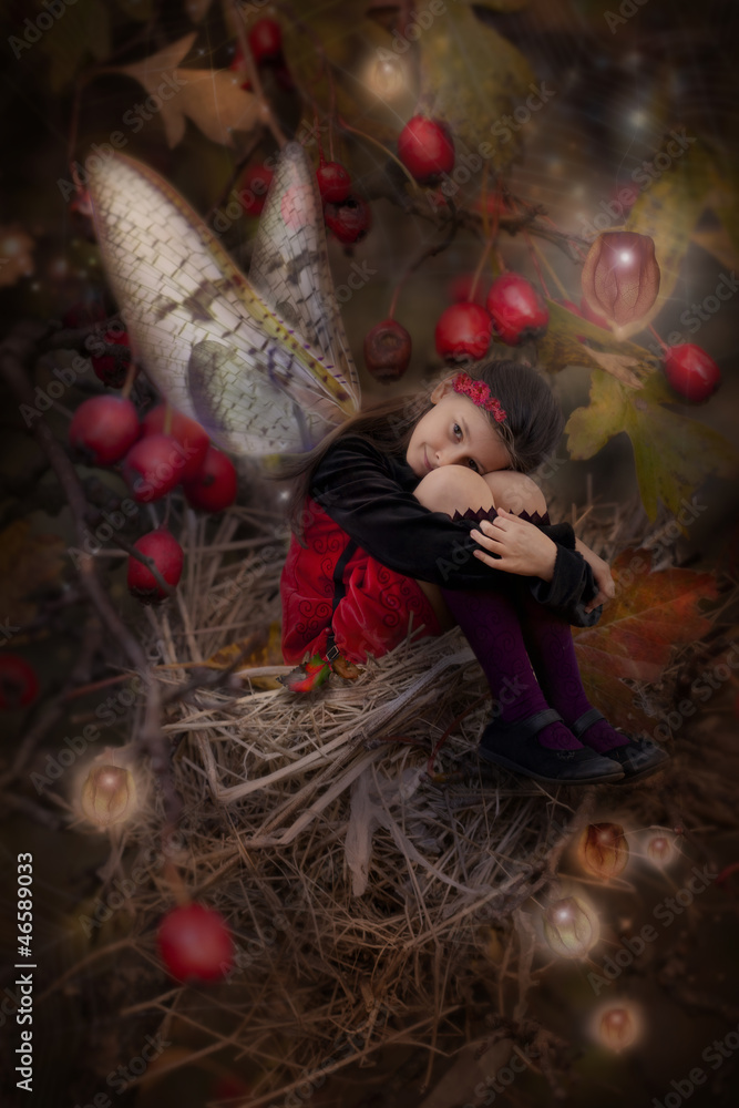 Autumn fairy