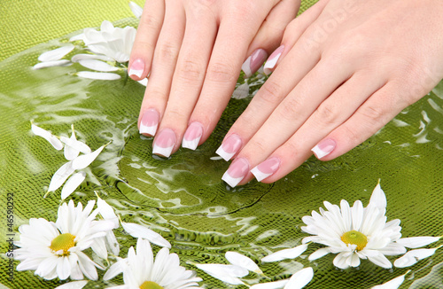 Woman hands with french manicure and flowers in green bowl with