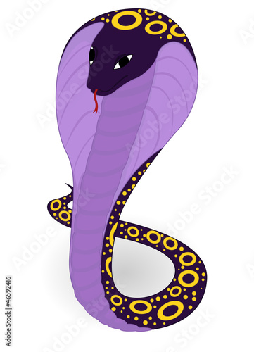 violet cobra