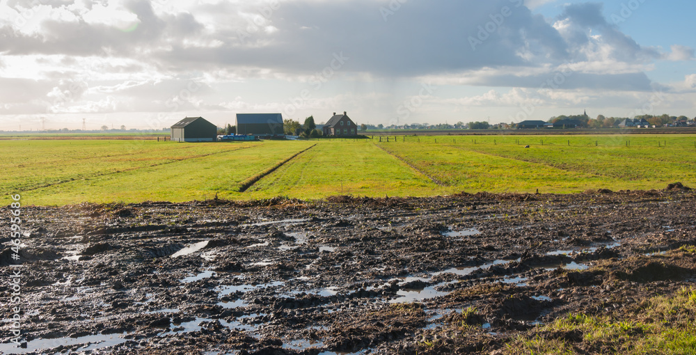 Wet field in the autumn season