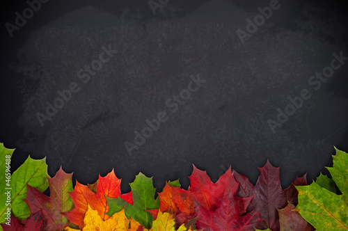 Kreidetafel mit Herbstblättern