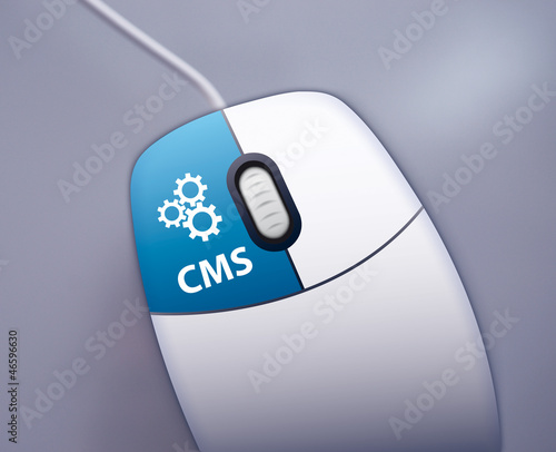 CMS selbst pflegen photo