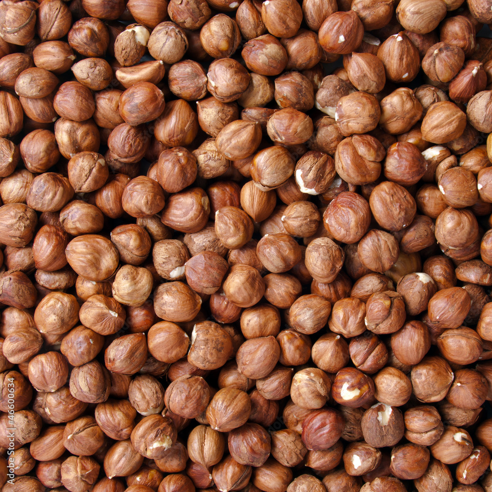 Background of ripe brown hazelnuts Background of ripe brown hazelnuts