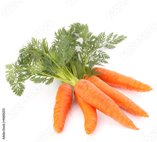 Fototapeta Carrot vegetable with leaves