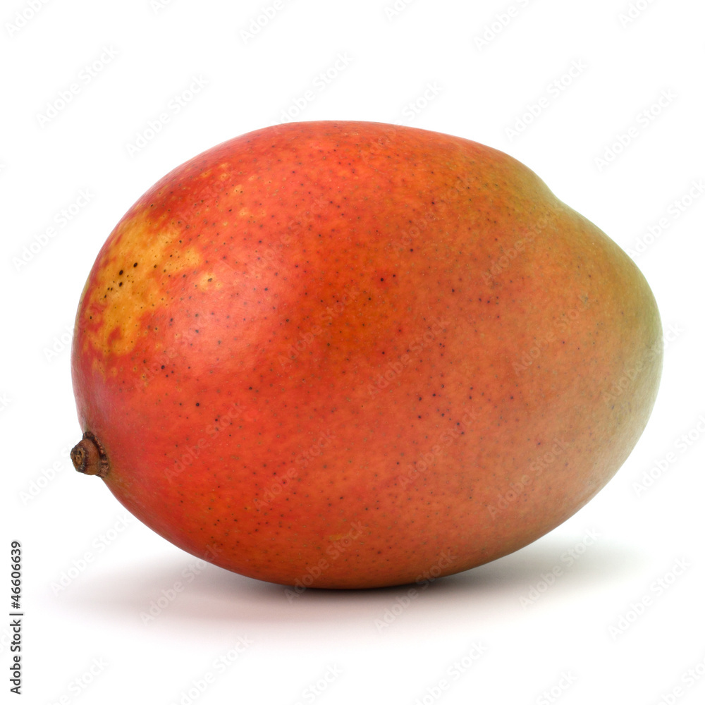 Mango fruit Mango fruit
