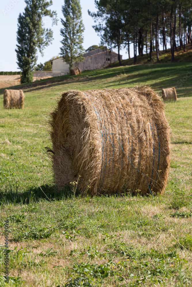 Paysage de campagne