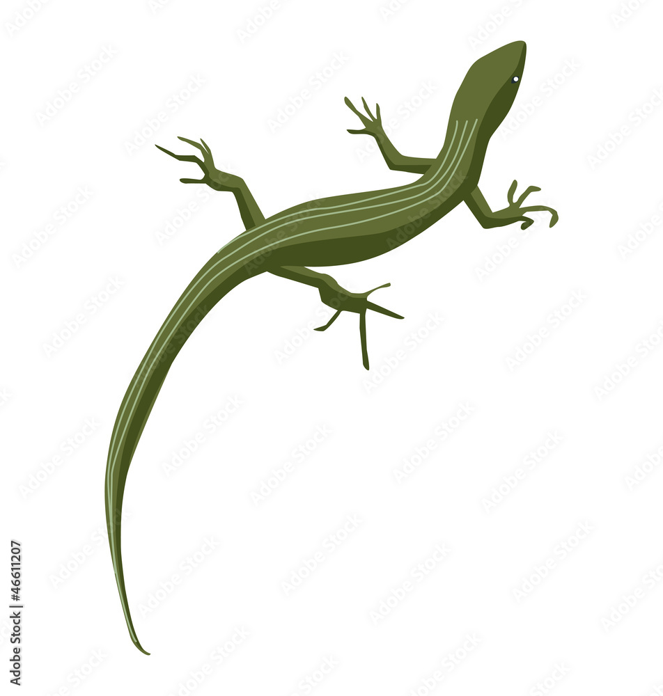 Naklejka premium トカゲ 爬虫類