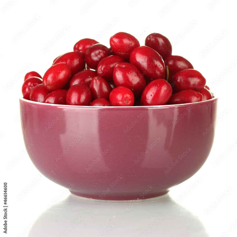fresh cornel berries in bowl isolated on white fresh cornel berries in bowl isolated on white