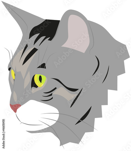 Cat muzzle