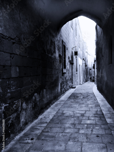 Cobbled Street of Mdina #46619668