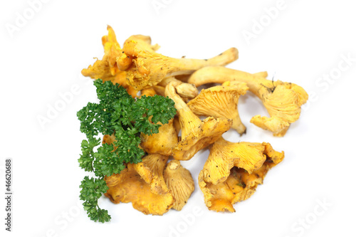 girolles