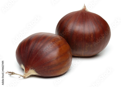 Two Chestnuts