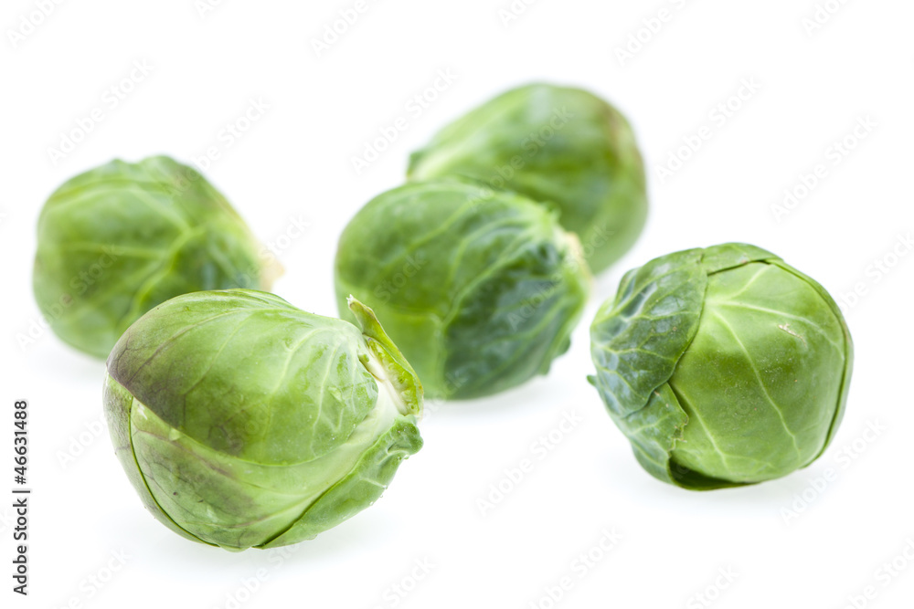 Rosenkohl auf weiß von vorne Rosenkohl auf weiß von vorne