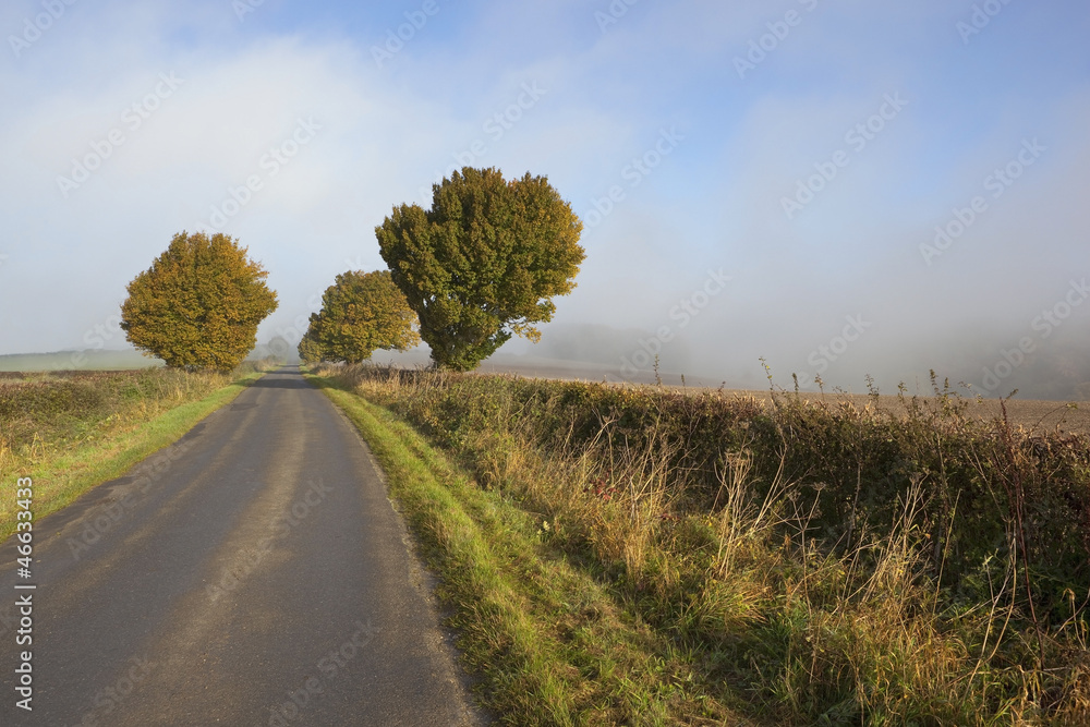 rising autumn mist rising autumn mist