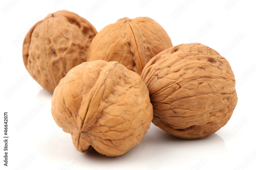 walnut walnut