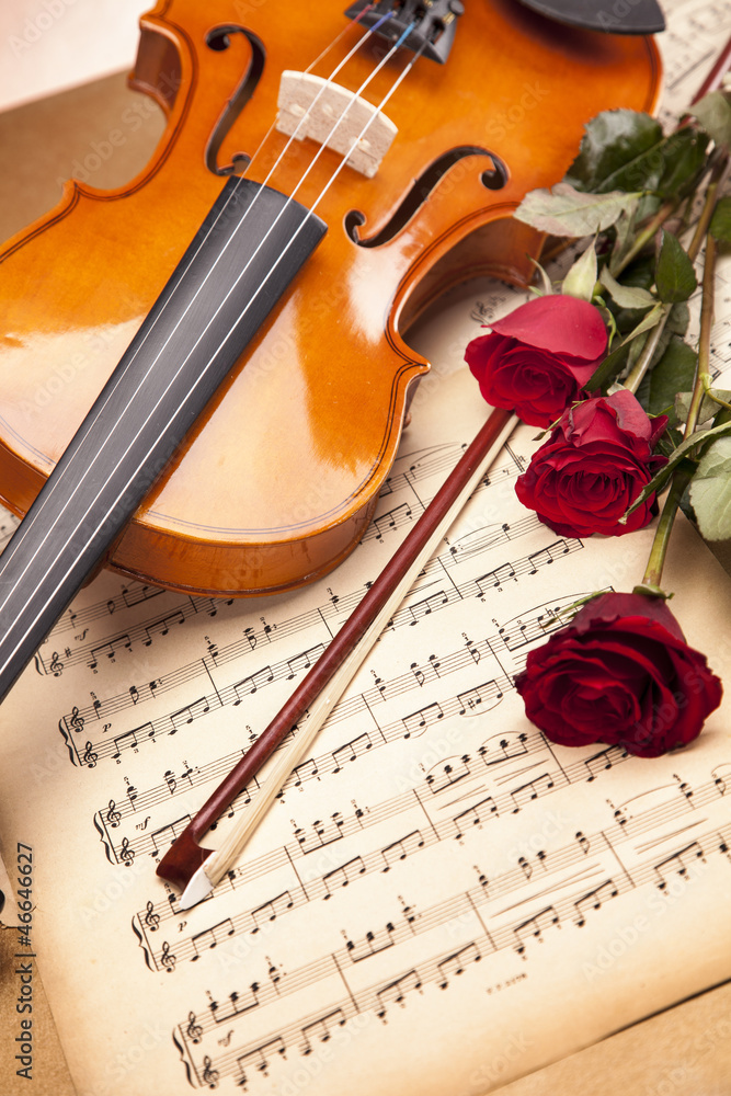 Fototapeta premium Beautiful roses and violin!