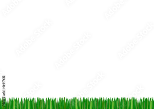 Wiese, Rasen, Grünfläche, Gras