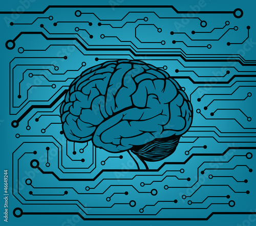 brain circuit background