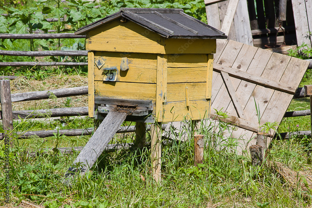 Fototapeta premium beehive with bees on an apiary