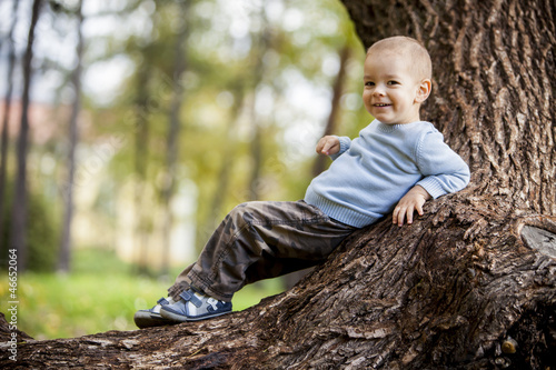 Little boy on the tree