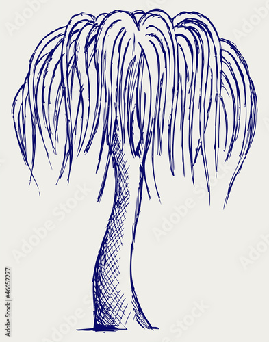 Trees silhouettes. Doodle style