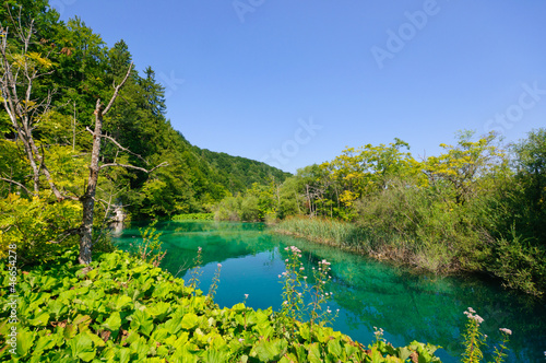 Fototapeta Naklejka Na Ścianę i Meble -  Plitvice Lakes National Park, Croatia