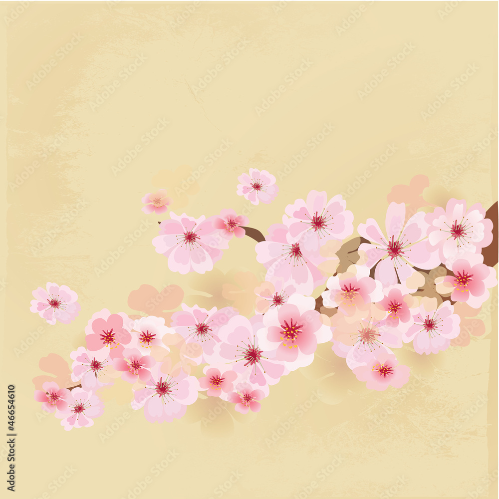 cherry blossoms on paper grunge
